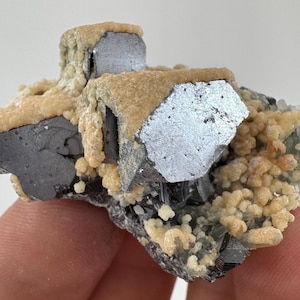May include: A mineral specimen featuring metallic, dark gray, cubic crystals partially coated with a textured, light beige, granular mineral crust. The cluster displays sharp geometric edges and a contrasting combination of smooth, reflective surfaces and rough, sandy-looking deposits.