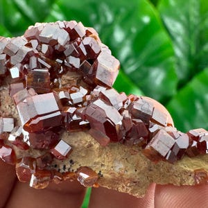 Amazing Vanadinite from Morocco,Crystal, Mineral,Specimen,Cluster,Vanadinite Crystal,Vanadinite,Geology,Vanadinite,Red,Home Decor, N58