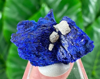 Cristal de azurita: Minerales y cristales de Marruecos, Colección de azurita, Ejemplar de azurita (tamaño 1,9 x 1,8 cm), N2