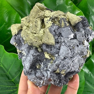 Incredible Galena with Chalcopyrite from Krushev dol mine Madan,Bulgaria, Natural Crystal, Home Decor, Energy Crystal, Cluster