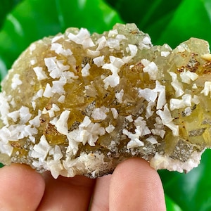 Yellow Fluorite with Calcite from Moscona Mine,Spain,Mineral Specimen,Yellow Fluorite,Fluorite from Spain,Collection,Big Fluorite,