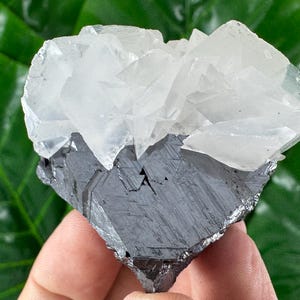 Aesthetic Sphalerite with Calcite from Trepca,Kosovo,Trepca Stari Trg Mine,Trepca complex,Mitrovica,N68