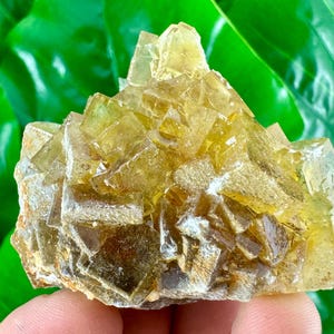 Yellow Fluorite from Moscona Mine,Spain,Mineral Specimen,Yellow Fluorite,Fluorite from Spain,Collection,Big Fluorite,
