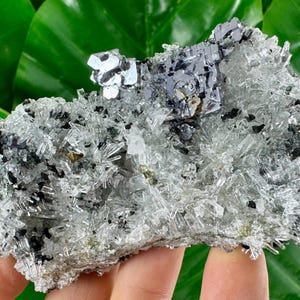 Amazing Quartz with Galena from 9th September mine,Madan,Bulgaria,Transparent Quartz,Quartz Cluster,Home Decor, Energy