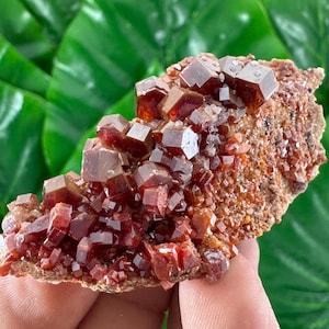 Amazing Vanadinite from Morocco,Crystal, Mineral,Specimen,Cluster,Vanadinite Crystal,Vanadinite,Geology,Vanadinite,Red,Home Decor, N58