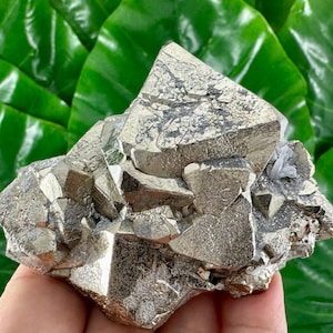 Aesthetic Octahedral Pyrite from Peru,Natural Mineral,Specimen,Cluster,Crystal,stone,Gemstone,Iron Pyrite,GoldenN560