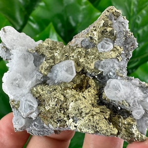 Beautiful Quartz  with Chalcopyrite from Krushev Dol mine,Madan,Bulgaria,Mineral Specimen,Home Decor,Golden Crystal,Chalcopyrite,