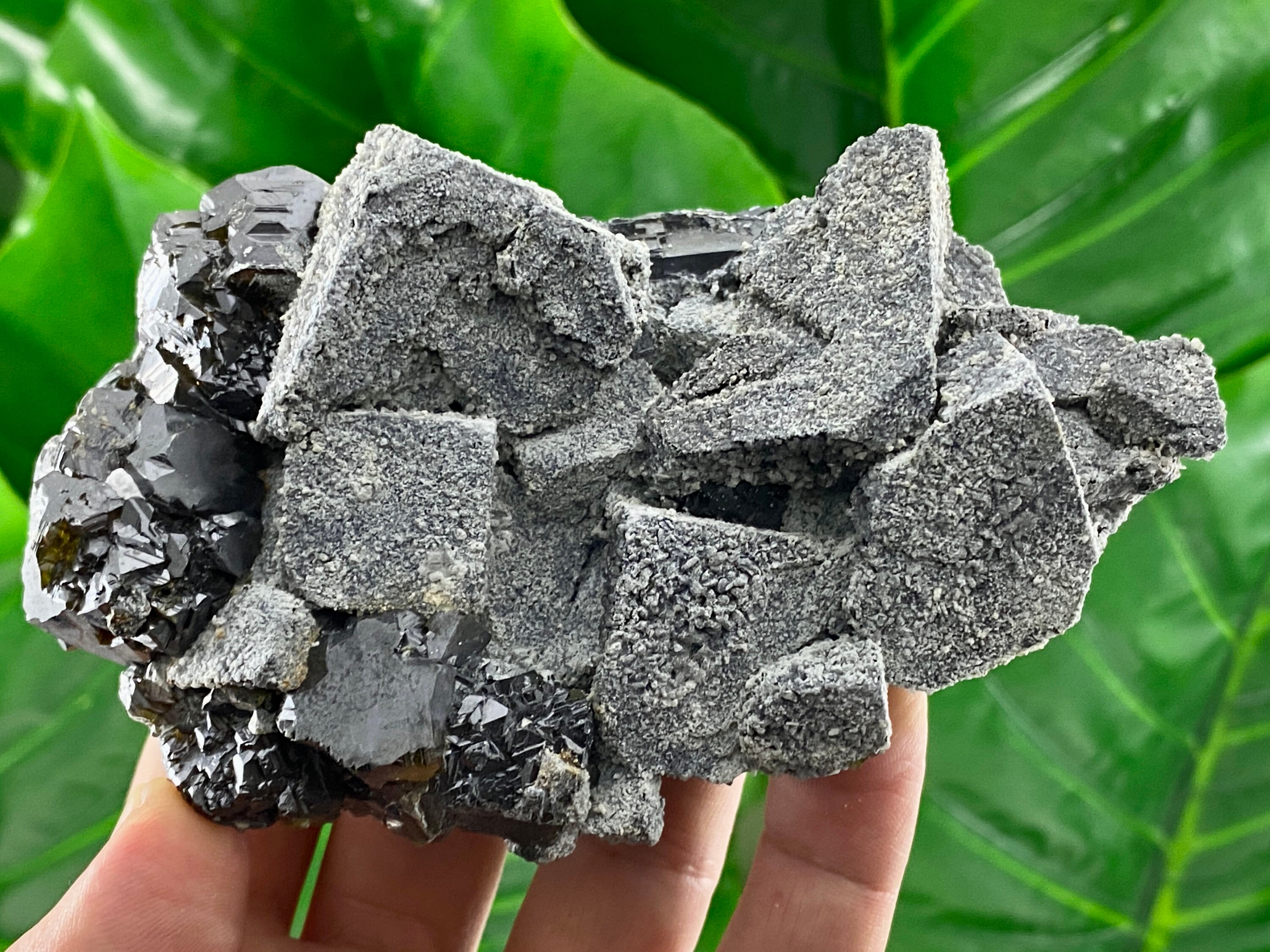Rare Find Galena with Cerussite and Black Sphalerite from 9th September,Madan,Bulgaria, Specimen,Cluster,Collection,Collectors,Morphology