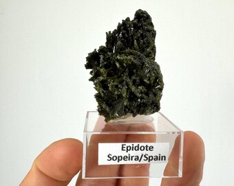 May include: A dark green epidote crystal cluster on a clear display stand with a label that reads "Epidote Sopeira/Spain".