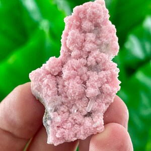 Amazing Rhodochrosite with Quartz from Davidkovo ore Filed,Bulgaria,Pink Crystal,Rodochrosite Crystal,Stone,Top Pink color