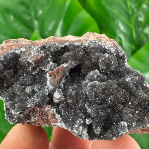 May include: A dark gray mineral specimen with a rough, textured surface. The mineral has a crystalline structure with small, sparkling inclusions. The edges of the specimen are a reddish-brown color. The background is a blurred green.