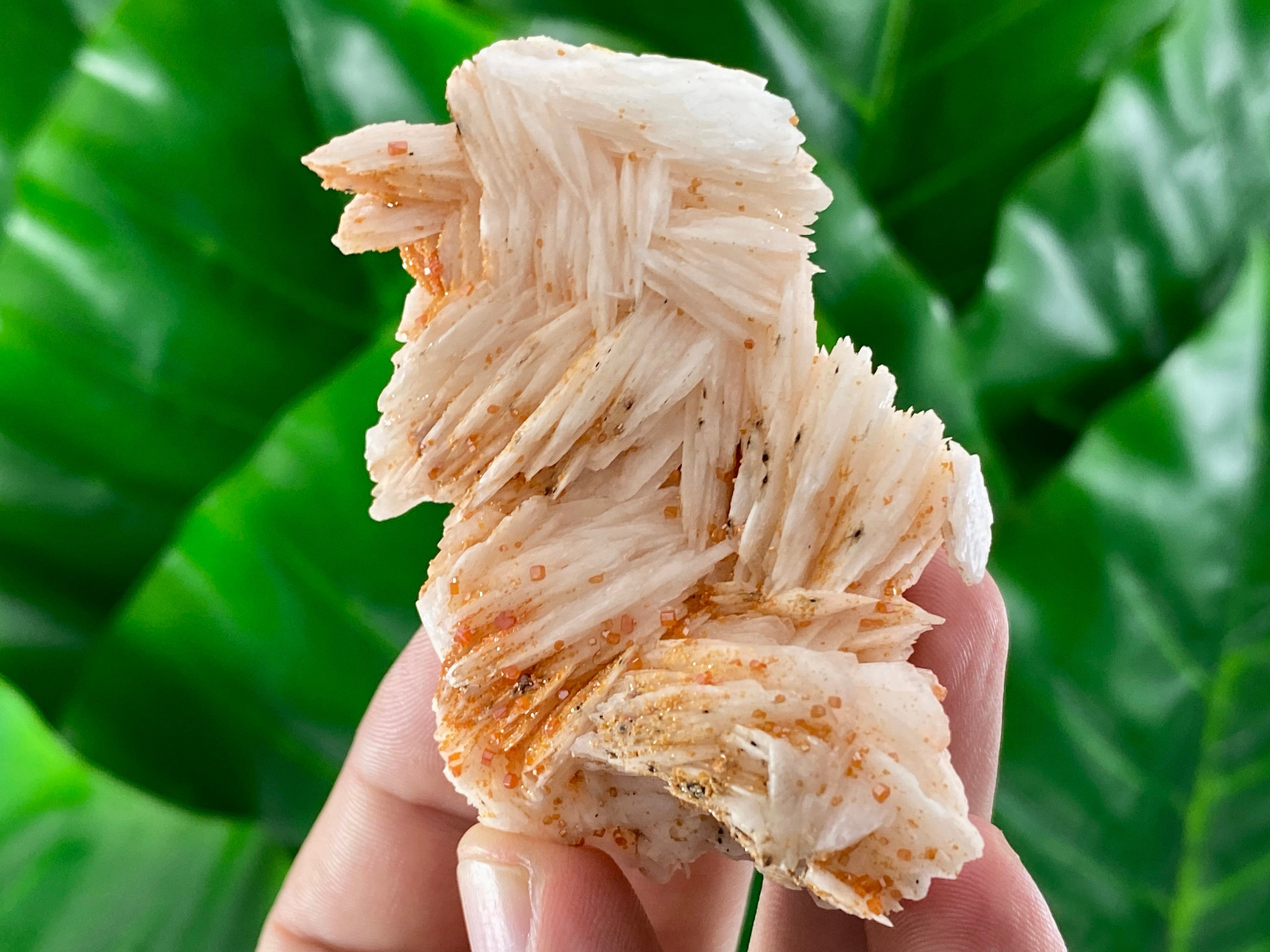 Very nice Baryte with Vanadinite from Morocco,Crystal, Mineral,Specimen,Cluster, Crystals,Barite Crystal,Baryte,Baryte Crystal, Specimen,