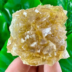 Yellow Fluorite from Moscona Mine,Spain,Mineral Specimen,Yellow Fluorite,Fluorite from Spain,Collection,Big Fluorite,