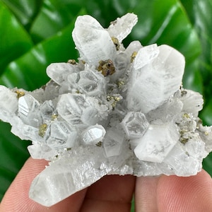 Beautiful Quartz  with Chalcopyrite from Krushev Dol mine,Madan,Bulgaria,Mineral Specimen,Home Decor,Golden Crystal,Chalcopyrite,