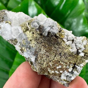Beautiful Quartz  with Chalcopyrite from Krushev Dol mine,Madan,Bulgaria,Mineral Specimen,Home Decor,Golden Crystal,Chalcopyrite,