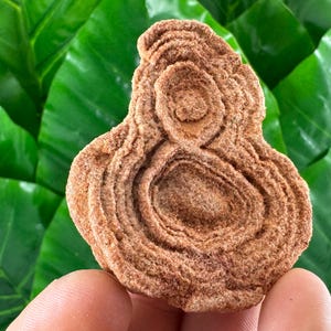 Stromatolite from Morocco,Fossil Specimen,Raw Stromatolite Fossil,rough fossilized algae for grounding and meditation,Moroccan Fossil,