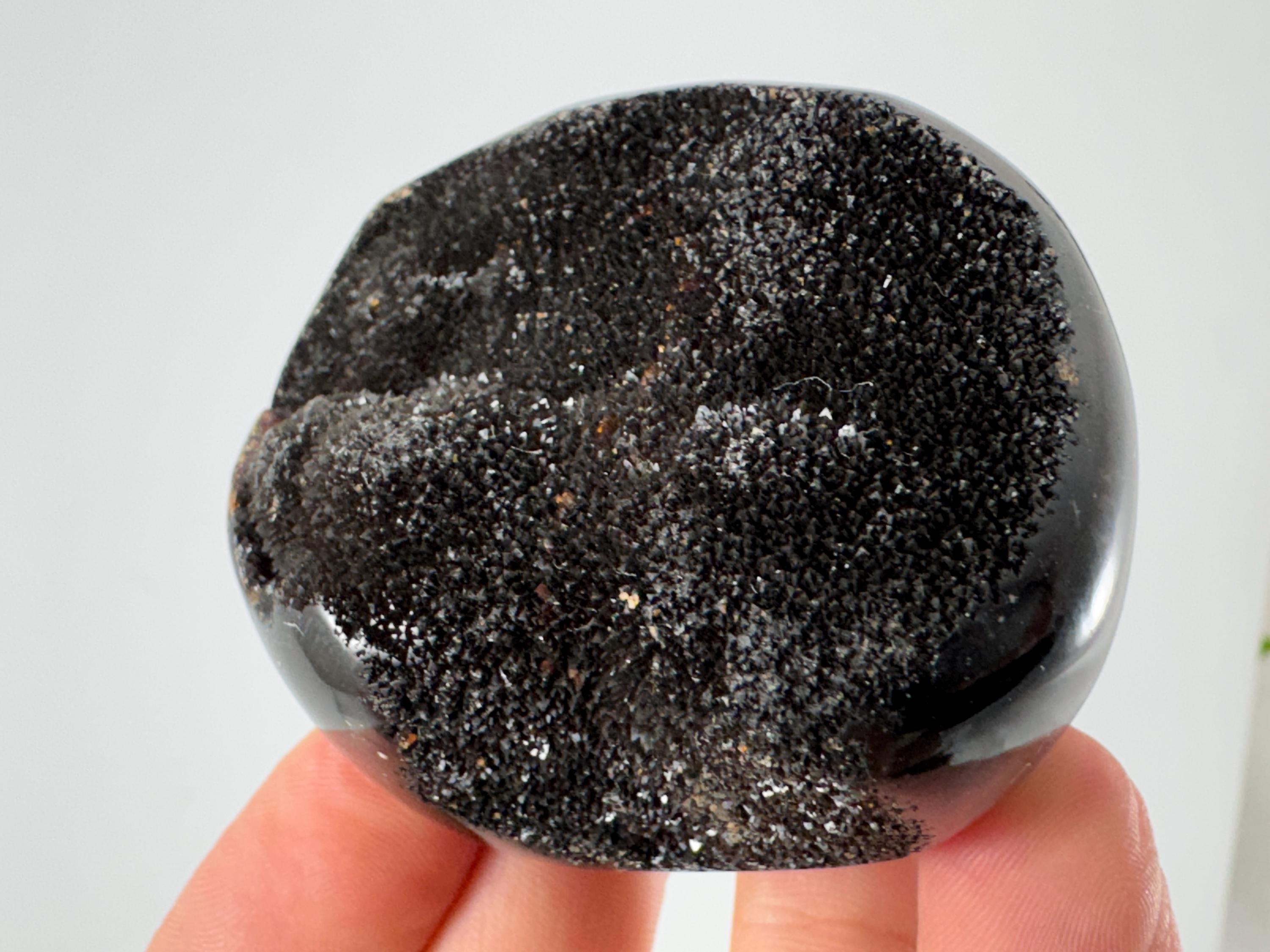 セプタリアンドラゴンの卵 – マダガスカル産の磨かれた石の卵 | 天然