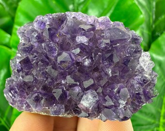 ウルグアイ産アメジストクラスター：紫水晶標本、室内装飾 - Etsy 日本