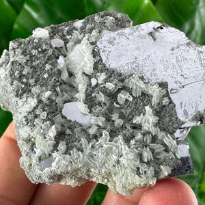 Galena with Calcite from Borieva mine,Madan,Bulgaria,Mineral Specimen,Mineral Collection,Energy CrystalN5