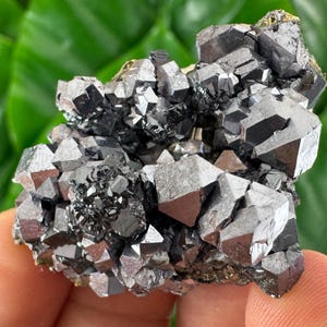 May include: A cluster of dark gray, metallic-looking crystals. The crystals have a geometric, faceted appearance, with sharp edges and a reflective surface. The mineral formation is held in a hand, with a green leafy background.