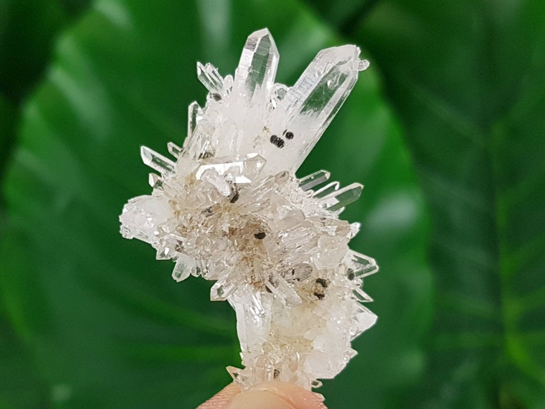 Clear Quartz With Small Balls Chlorite And Epidote From Etsy