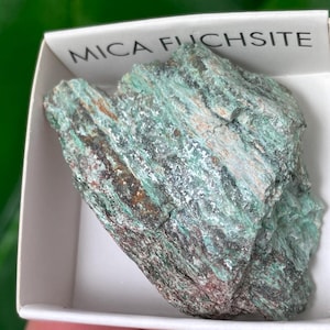 May include: A piece of Mica Fuchsite, a green mineral, is presented in a white box. The rock has a rough, layered texture with green, brown, and grey hues. The box is labelled with the text "MICA FUCHSITE".