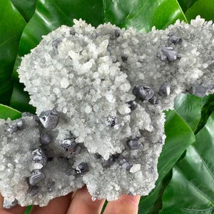 Amazing Quartz with Galena from Krushev dol mine,Madan,Bulgaria,Mineral Specimen,Mineral Collection,Energy Crystal,504