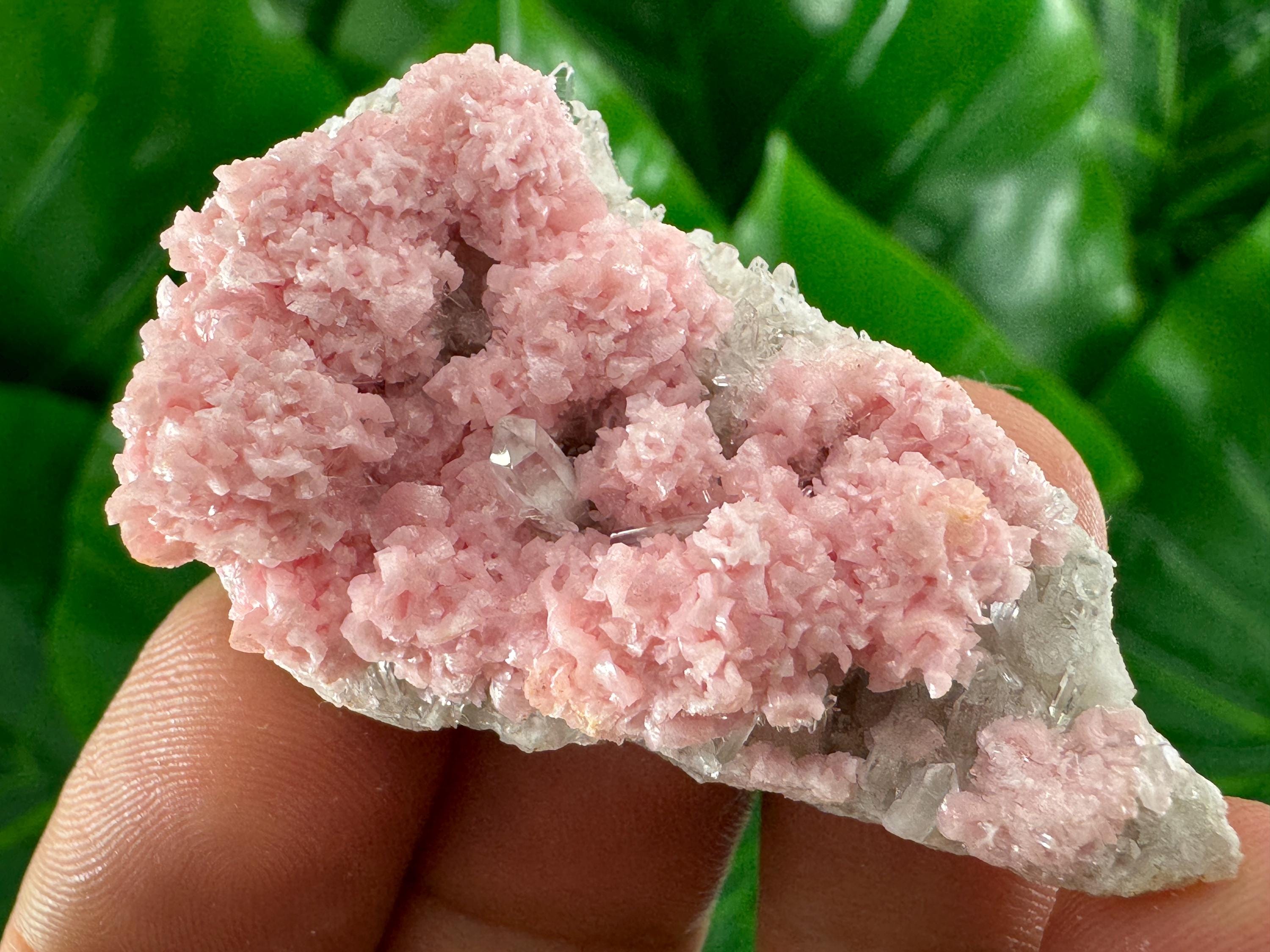 Rose Rhodochrosite