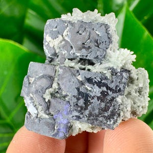 Galena with Quartz from Borieva mine ,Madan,Bulgaria,Mineral,Crystal,Home decor,Collection