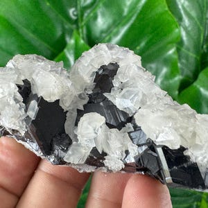 Amazing Sphalerite with Calcite from Trepca,Kosovo,Trepca Stari Trg Mine,Trepca complex,Mitrovica,N67