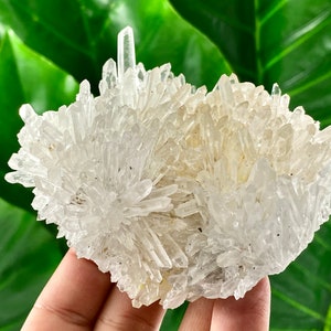 Transparent Quartz with Limonite from 9th September mine,Madan,Bulgaria,Transparent Quartz,Quartz Cluster,Home Decor, Energy Crystal,