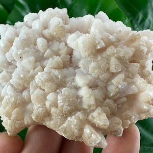 Rare Calcite from Krushev dol mine,Madan,Bulgaria,Inclusions,Mineral Specimen,Calcite Collector’sN503