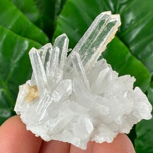 Very nice Quartz with Calcite from Djurkovo mine,Laki ,Bulgaria,Calcite Collector,crystal N34