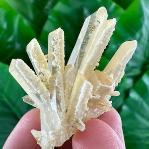 Amazing Quartz with Calcite from Krushev dol mine,Madan,Bulgaria,Inclusions,Mineral Specimen,Calcite Collector’s