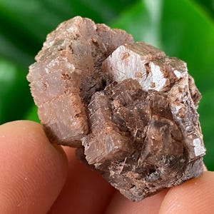Amazing Aragonite from Spain,Aragonite crystal,cluster,natural,mineral,specimen,Purple Aragonite,Spanish Aragonite,Mineralcollection,