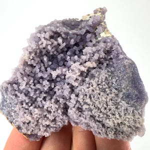 Könnte beinhalten: Ein Cluster aus traubenartigem Achat, einer Art von Chalcedon. Die Oberfläche ist mit kleinen, abgerundeten, lavendelfarbenen Formationen bedeckt, mit einem etwas dunkleren Lilaton in einigen Bereichen. Die Basis hat eine hellbraune Farbe.