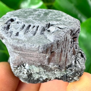 Amazing Galena from Krushev dol mine,Madan,Bulgaria,Mineral Specimen,Mineral Collection,Energy Crystal