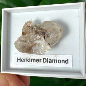Op de afbeelding: Een Herkimer Diamond kristalcluster gepresenteerd in een witte doos. De heldere kwartskristallen hebben een ruwe textuur en zijn gelabeld met de tekst "Herkimer Diamond".