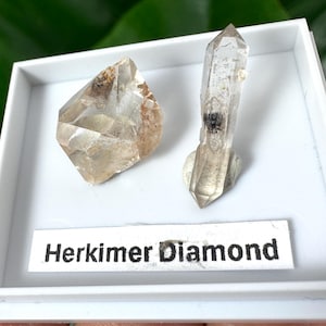 Herkimer-diamant (mini) – natuurlijk dubbelgetermineerd kwartskristal, Afmeting standaard: 4 x 3,5 cm