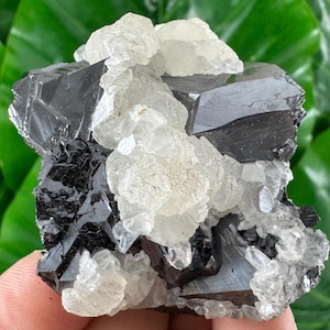 Amazing Sphalerite with Calcite from Trepca,Kosovo,Trepca Stari Trg Mine,Trepca complex,Mitrovica,N67