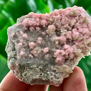 Amazing Rhodochrosite with Stilbite,Quartz from Davidkovo ore Filed, Bulgaria,Pink Crystal,Davitkovo mine