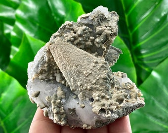 Rare Calcite on Matrix from Borieva mine,Madan, Bulgaria,Mineral,Crystal,Specimen,100% Natural Mineral,Quartz,Home Decor, Energy