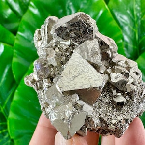 Aesthetic Octahedral Pyrite from Peru,Natural Mineral,Specimen,Cluster,Crystal,stone,Gemstone,Iron Pyrite,Golden,N571