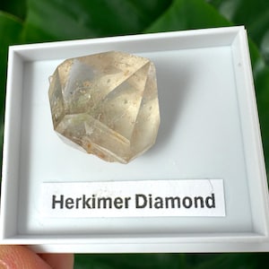Op de afbeelding: Een helder, gefacetteerd Herkimer-diamantkristal met lichtbruine insluitingen, gepresenteerd in een vierkante witte plastic houder. Een wit label met de zwarte tekst Herkimer Diamond is bevestigd aan de onderkant van de houder.