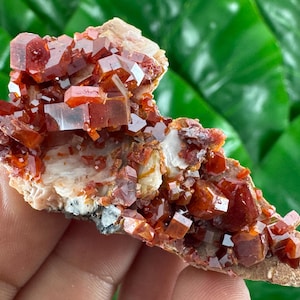 Amazing Vanadinite from Morocco,Crystal, Mineral,Specimen,Cluster,Vanadinite Crystal,Vanadinite,Geology,Vanadinite,Red,Home Decor, N58