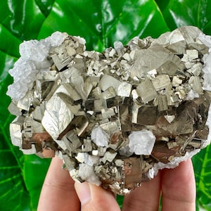 Aesthetic Pyrite with Calcite from Trepca,Kosovo,Trepca Stari Trg Mine,Trepca complex,Mitrovica,N561