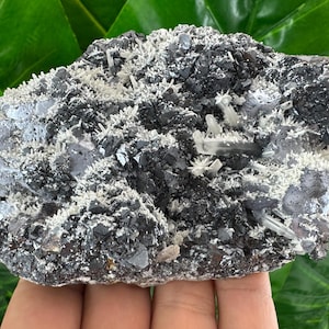 Incredible Galena with Calcite,Sphalerite and Quartz from Krushev dol mine,Madan,Bulgaria,Mineral,Mineral Collection,Crystal collect N524