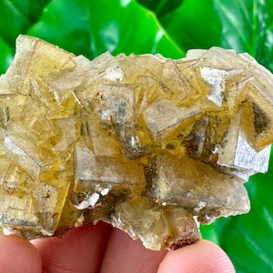 Yellow Fluorite from Moscona Mine,Spain,Mineral Specimen,Yellow Fluorite,Fluorite from Spain,Collection,Big Fluorite,