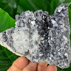 Amazing Galena with Quartz and from Krushev dol mine,Madan,Bulgaria,Mineral Specimen,Mineral Collection,Energy Crystal,N504