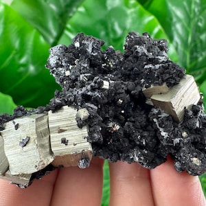 Very nice Pyrite with Sphalerite from Borieva mine ,Madan,Bulgaria,Mineral,Crystal,Home decor,Collection